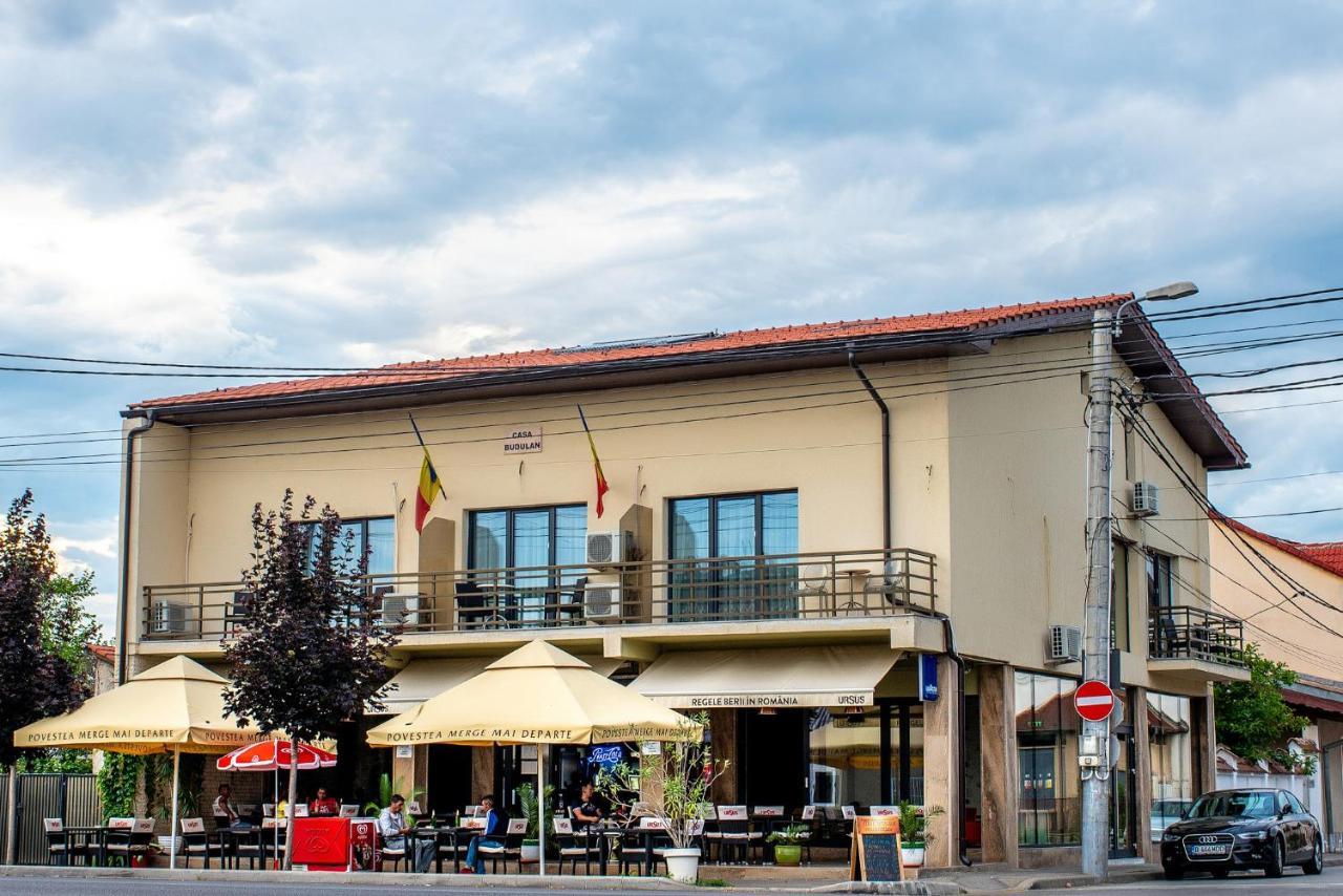 Casa Budulan Дробета-Турну-Северин Екстер'єр фото